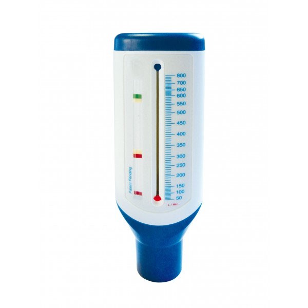Peak flow meter